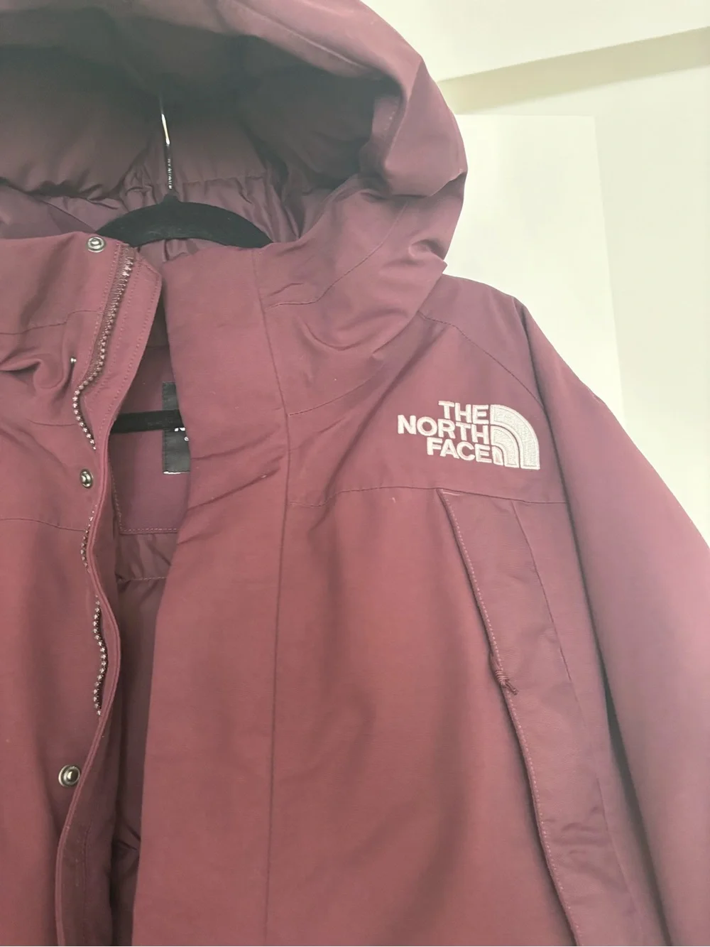 The North Face 550-down Parka